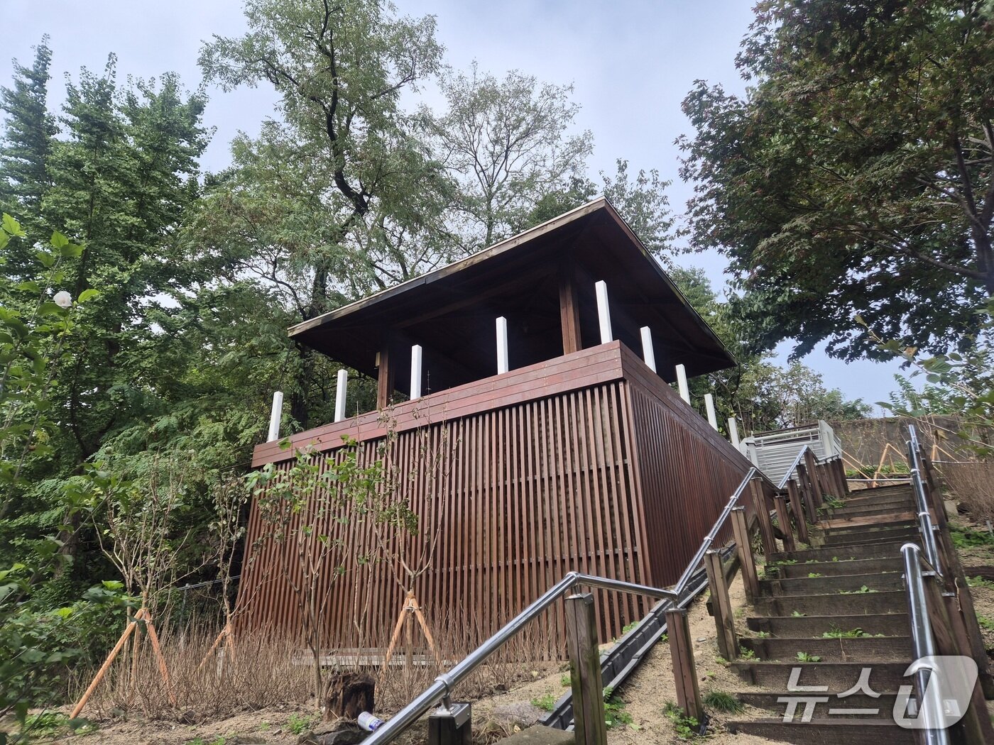 본문 이미지 - 서울맹학교에 조성된 나눔숲 쉼터 사진. &#40;산림청 한국산림복지진흥원 제공.재판매 및 DB금지&#41;/뉴스1 