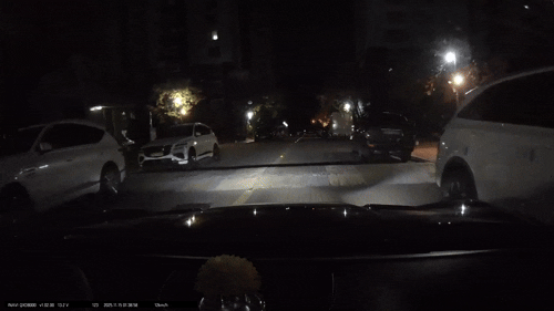 본문 이미지 - (보배드림 갈무리)