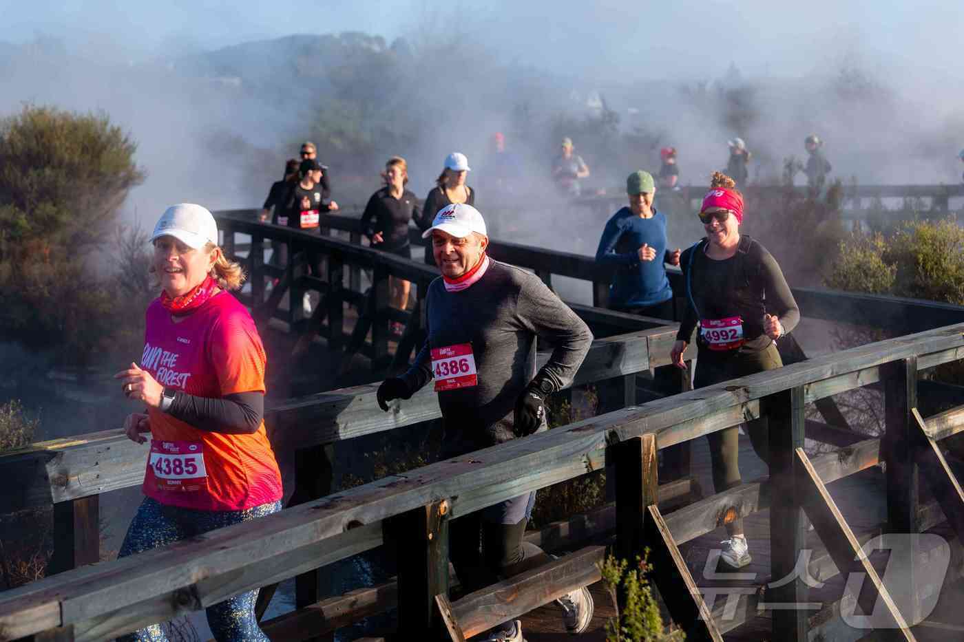 본문 이미지 - 런더포레스트 로토루아에서의 러닝&#40;Run The Forest, Rotorua 제공&#41;