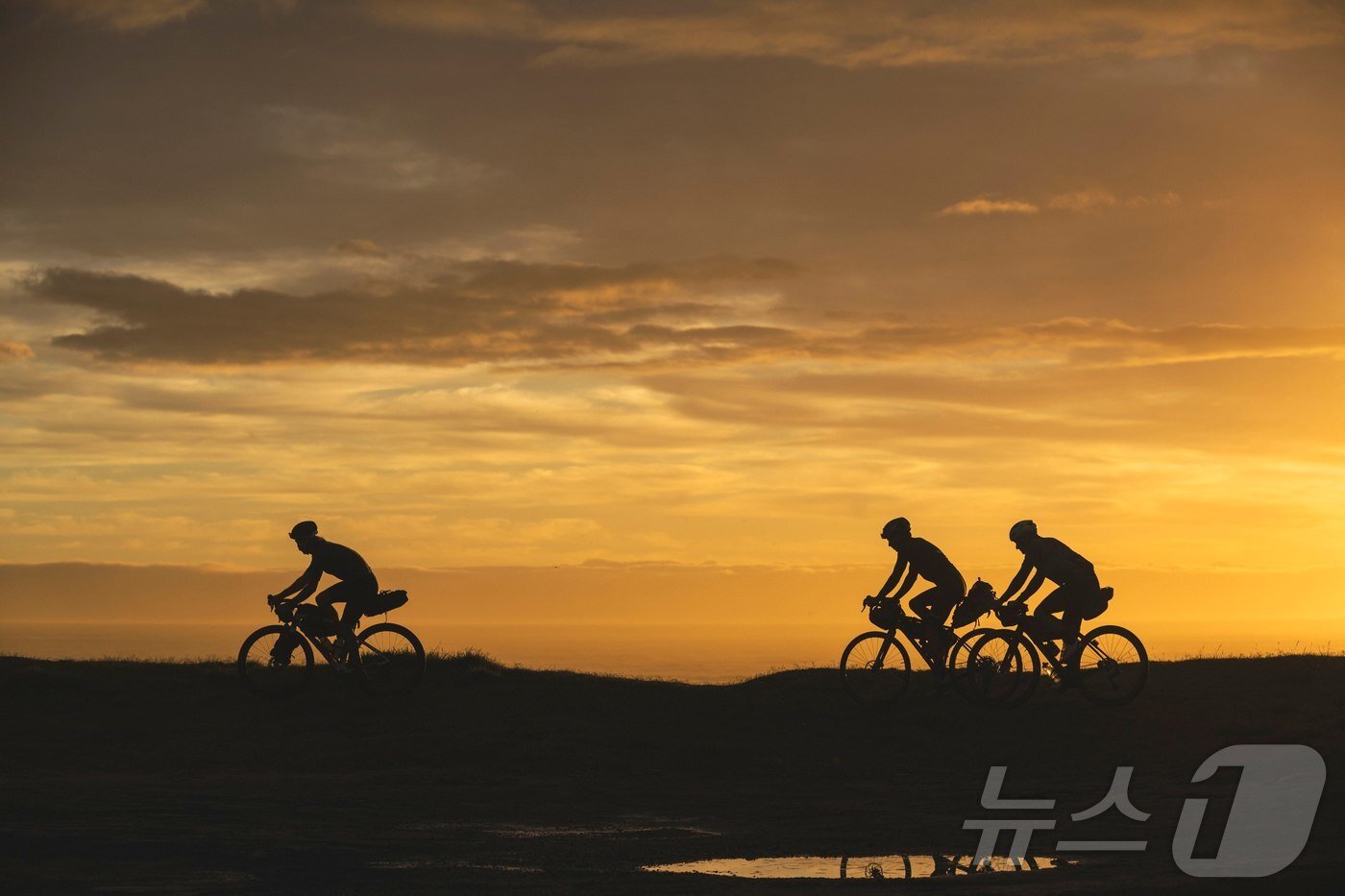 본문 이미지 - 기즈번에서 맞는 일출&#40;Tairāwhiti Gisborne 제공&#41; 