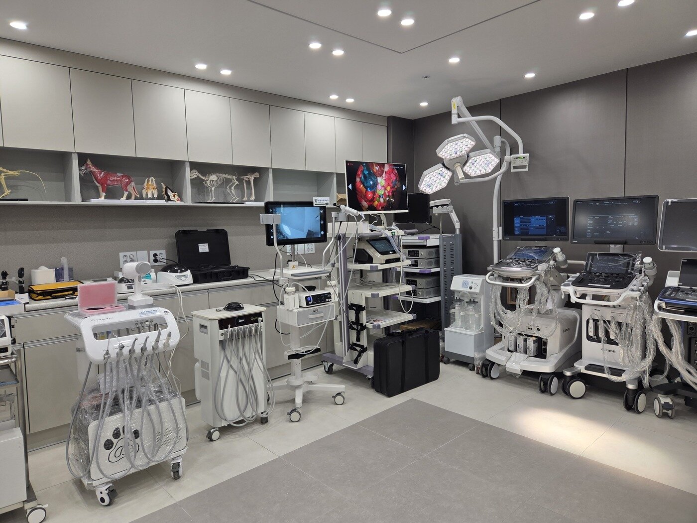 본문 이미지 - 한미 사옥 2층 쇼룸에 수의료기기 장비들이 전시된 모습 ⓒ 뉴스1 한송아 기자