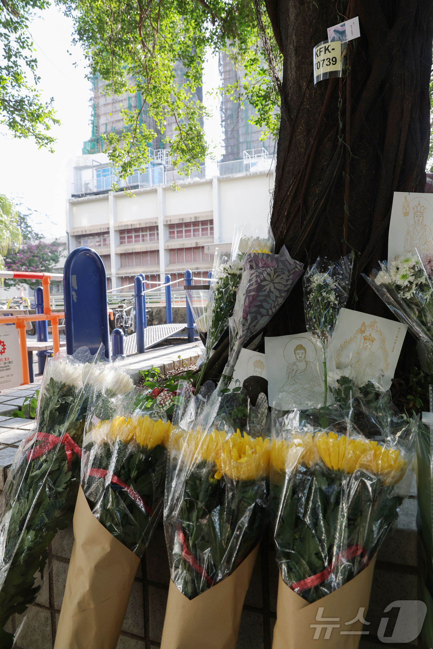 (홍콩=뉴스1) 권현진 기자 = 29일(현지시간) 홍콩 북부 타이포의 '왕 푹 코트'(Wang Fuk Court) 아파트 단지 인근에 희생자들을 추모하는 국화꽃이 놓여있다. 202 …