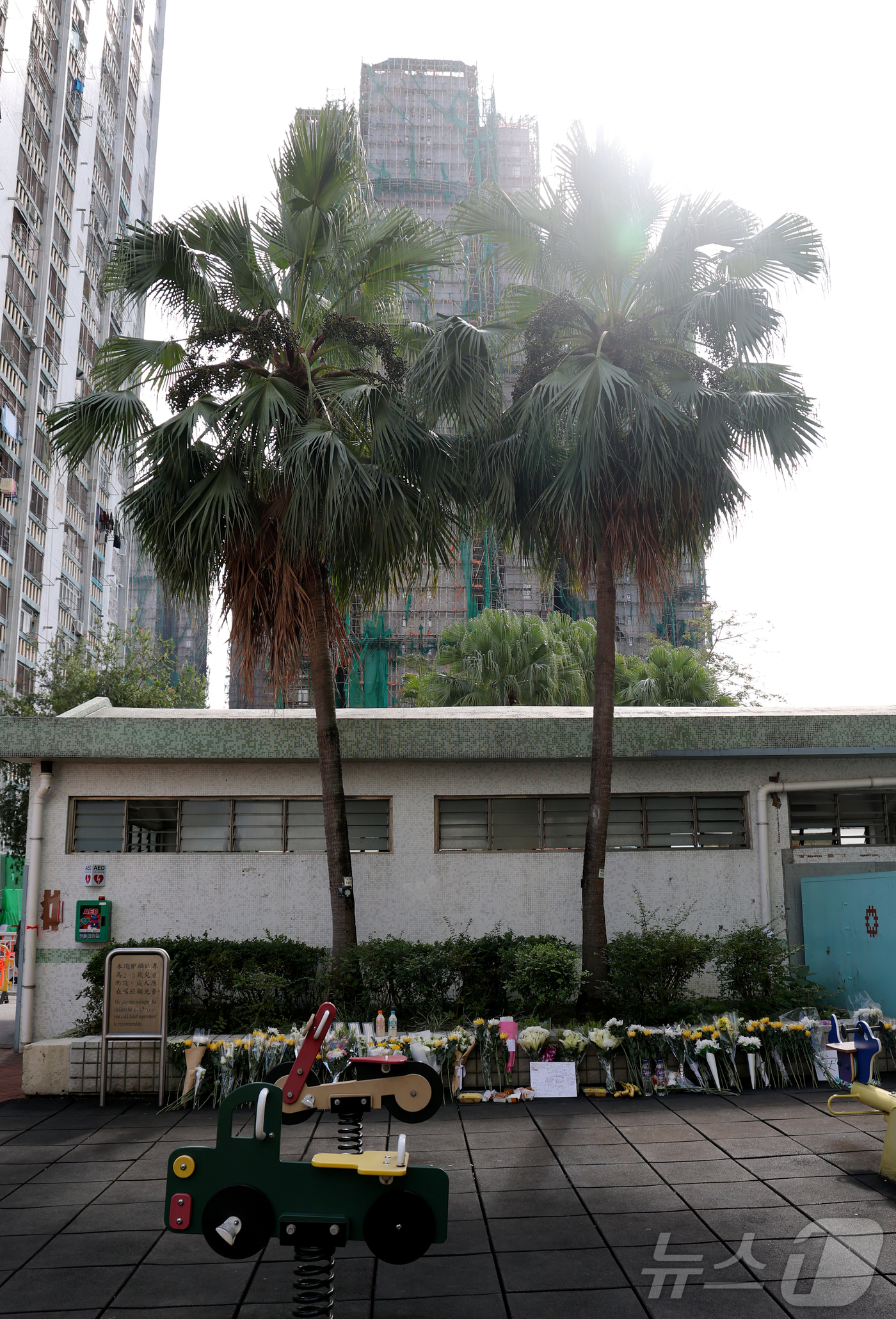 (홍콩=뉴스1) 권현진 기자 = 29일(현지시간) 홍콩 북부 타이포의 '왕 푹 코트'(Wang Fuk Court) 아파트 단지 인근에 희생자들을 추모하는 국화꽃이 놓여있다. 202 …