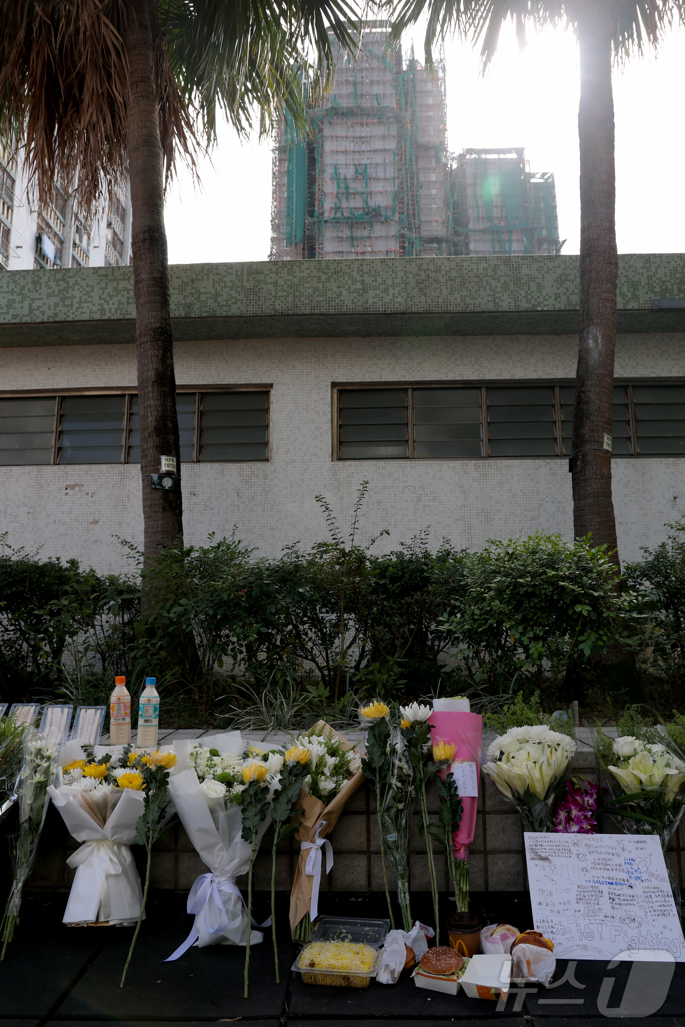 (홍콩=뉴스1) 권현진 기자 = 29일(현지시간) 홍콩 북부 타이포의 '왕 푹 코트'(Wang Fuk Court) 아파트 단지 인근에 희생자들을 추모하는 국화꽃이 놓여있다. 202 …