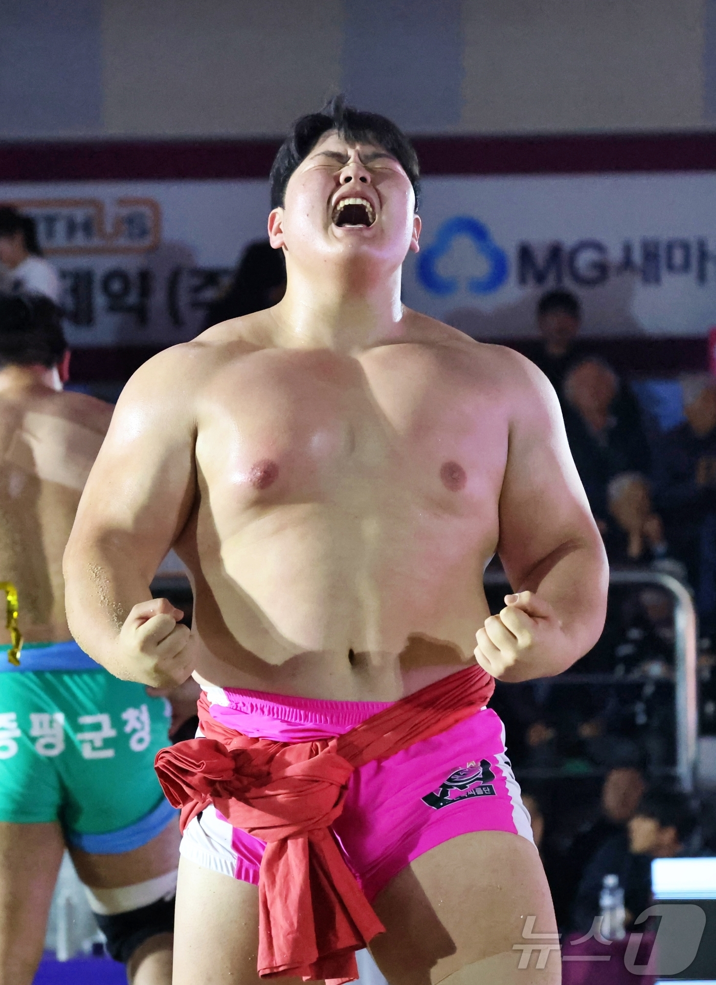 (의성=뉴스1) = 29일 경북 의성군 의성종합체육관에서 열린 ‘위더스제약 2025 의성천하장사씨름대축제’ 천하장사 결정전에서 천하장사에 등극한 김민재(영암군민속씨름단)가 기뻐하고 …