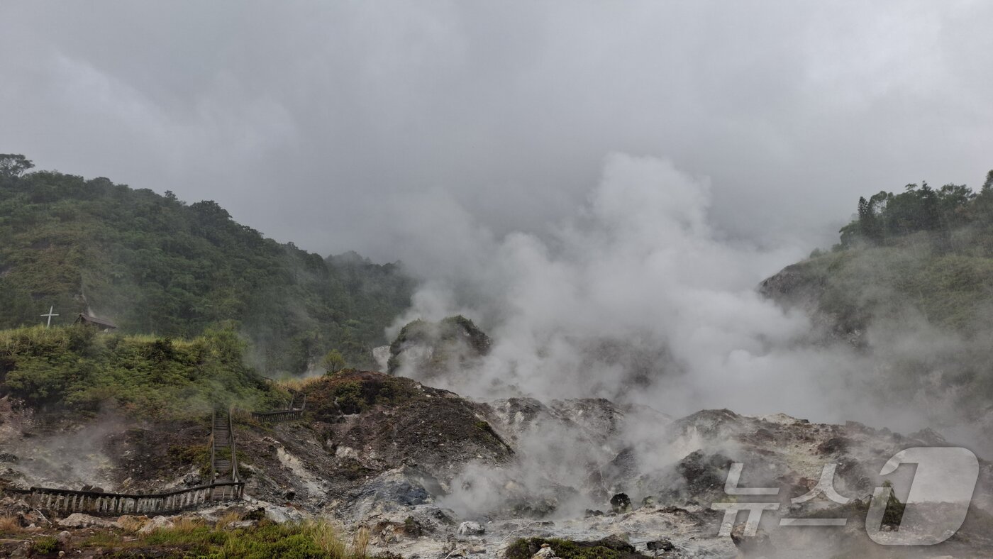본문 이미지 - 토모혼 ⓒ News1