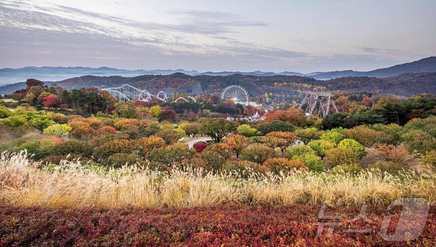 (서울=뉴스1) = 에버랜드가 단풍, 판타지, 스파 등 세 가지 테마로 구성된 가을 낭만 3색 힐링 코스를 추천한다고 밝혔다.가을시즌 에버랜드에서는 오색빛깔 단풍을 감상하고, 케이 …