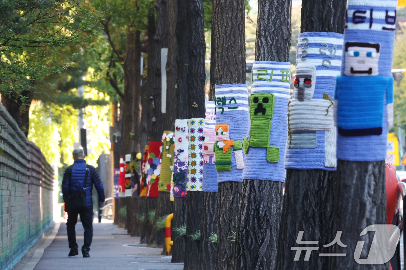 본문 이미지 - 아침 기온이 영하권으로 떨어지며 초겨울 추위를 보인 3일 경기 광명시 하안동 하담길 예술의거리 가로수에 뜨개옷이 입혀져 있다. 2025.11.3/뉴스1 ⓒ News1 김영운 기자