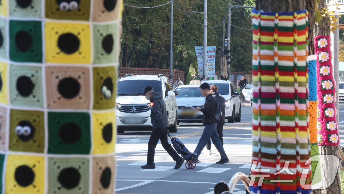 본문 이미지 - 아침 기온이 영하권으로 떨어지며 초겨울 추위를 보인 3일 경기 광명시 하안동 하담길 예술의거리 가로수에 뜨개옷이 입혀져 있다. 2025.11.3/뉴스1 ⓒ News1 김영운 기자