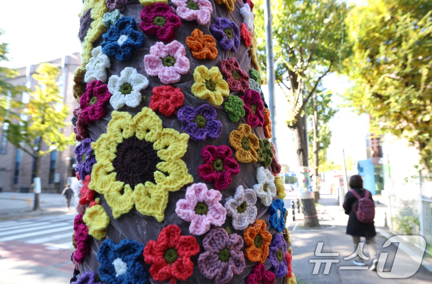 본문 이미지 - 아침 기온이 영하권으로 떨어지며 초겨울 추위를 보인 3일 경기 광명시 하안동 하담길 예술의거리 가로수에 뜨개옷이 입혀져 있다. 2025.11.3/뉴스1 ⓒ News1 김영운 기자