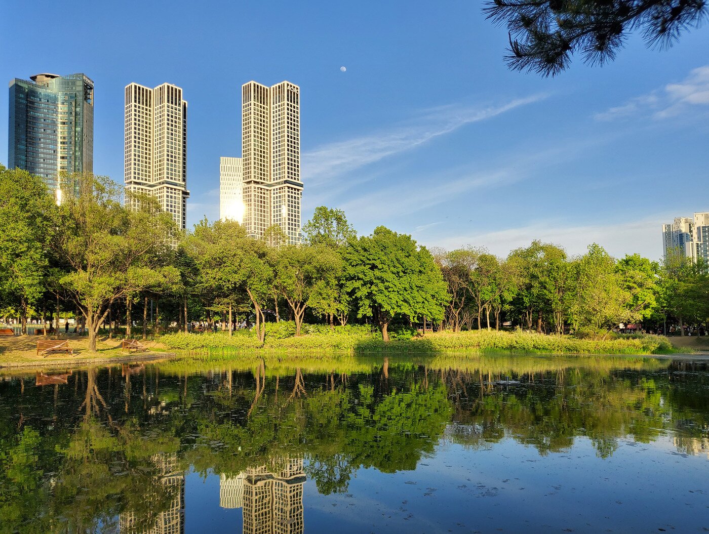 본문 이미지 - 서울숲&#40;서울시 제공&#41;