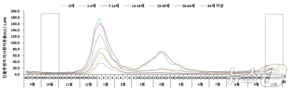 본문 이미지 - 2024~2025절기, 2025~2026절기 연령별 인플루엔자 의사환자 발생 현황. &#40;질병청 제공&#41; 2025.11.3/뉴스1