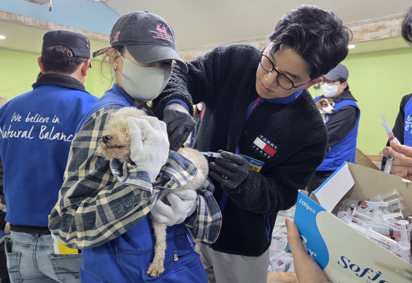 본문 이미지 - 이지원 루안앤코 갤러리 실장(왼쪽)이 안고 있는 보호견에게 이세원 대구 24시 바른동물의료센터 원장이 예방접종을 하고 있다. ⓒ 뉴스1 한송아 기자