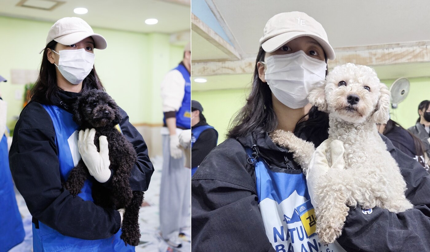 본문 이미지 - 입양 홍보를 위해 보호견들을 안고 사진을 찍고 있는 배우 김소현 ⓒ 뉴스1