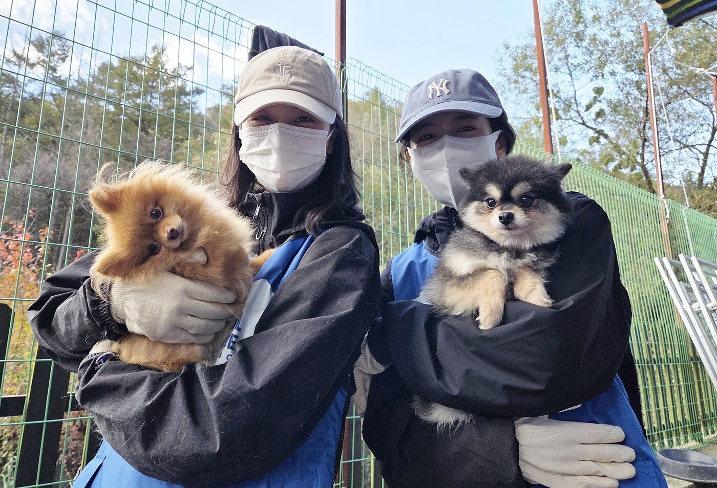 본문 이미지 - 입양 홍보를 위해 보호견들을 안고 사진을 찍고 있는 배우 김소현(왼쪽), 최지우 ⓒ 뉴스1 한송아 기자