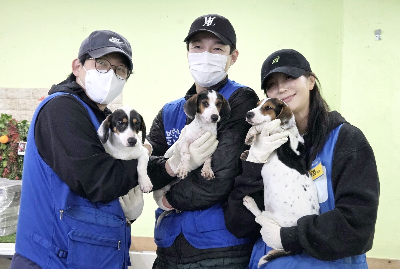 본문 이미지 - 입양홍보를 위해 보호견들을 안고 사진을 찍고 있는 배우 안혜경(오른쪽부터), 허동원, 이승준 ⓒ 뉴스1 한송아 기자