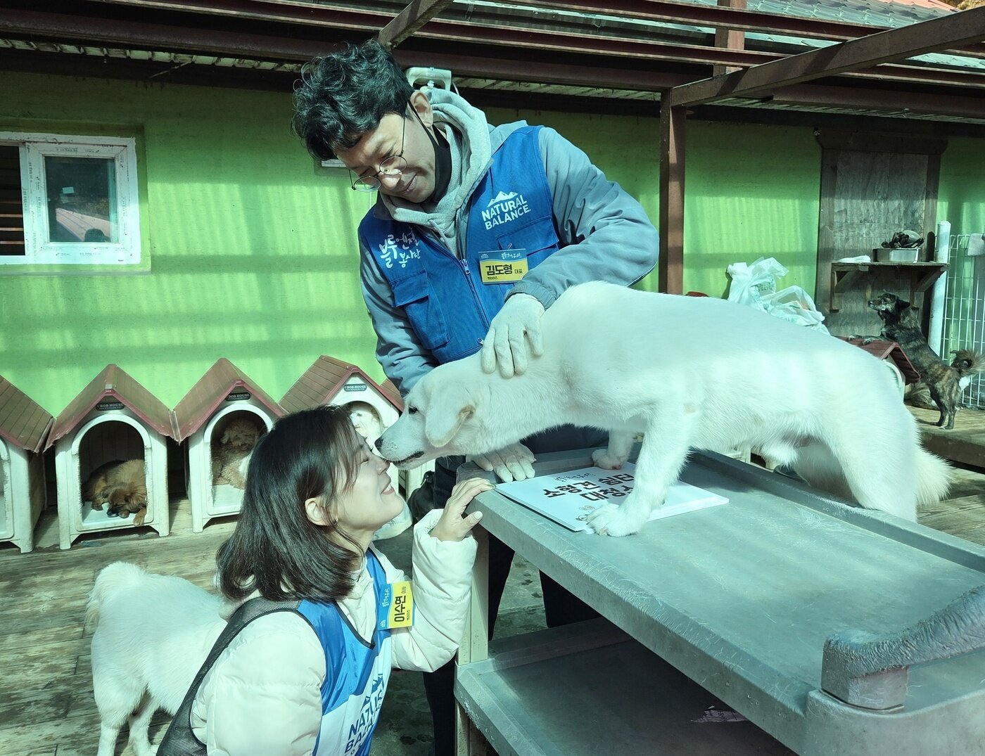 본문 이미지 - 반려동물 헬스케어 전문기업 펫라이즈 김도형 대표와 이수연 이사가 지난 2일 블루엔젤봉사단 활동에 참여해 보호견과 교감하고 있다. ⓒ 뉴스1 한송아 기자