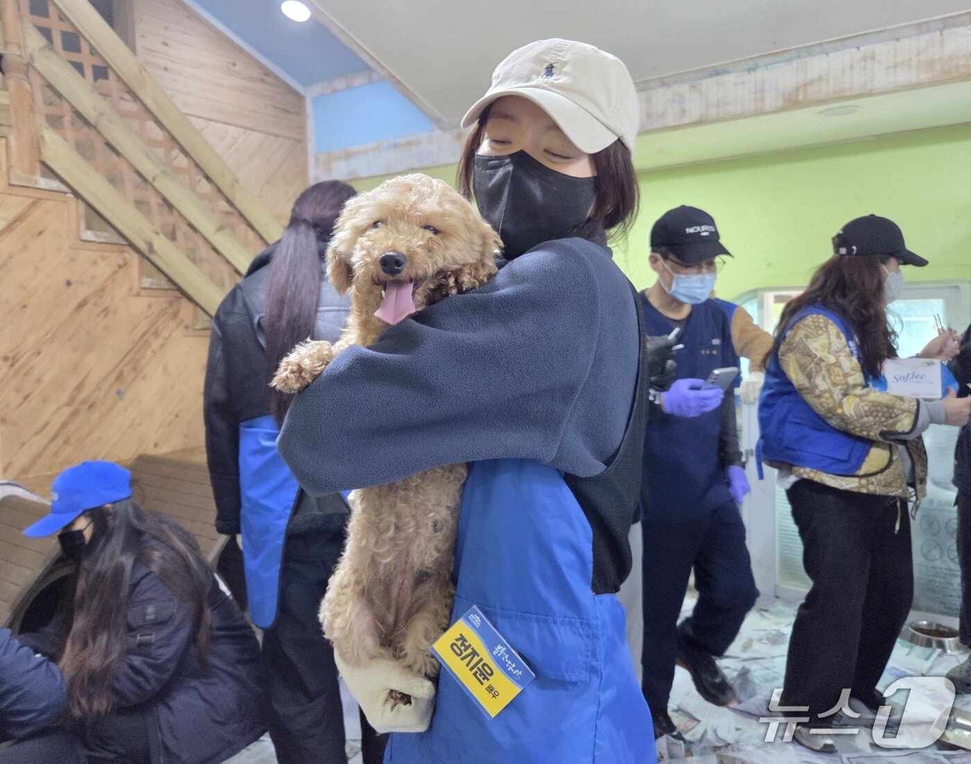 본문 이미지 - 배우 정지윤이 보호견을 안고 예방접종을 기다리고 있다. ⓒ 뉴스1 한송아 기자