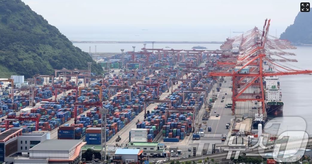 본문 이미지 - 부산항 신선대부두 야적장에 컨테이너가 가득 쌓여 있는 모습. ⓒ News1 윤일지 기자