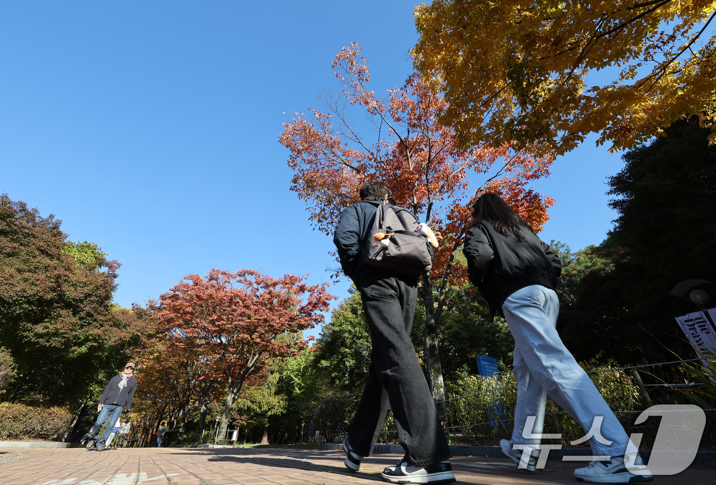 (서울=뉴스1) 장수영 기자 = 3일 오후 서울 송파구 올림픽공원을 찾은 시민들이 단풍이 든 산책로를 걷고 있다. 2025.11.3/뉴스1