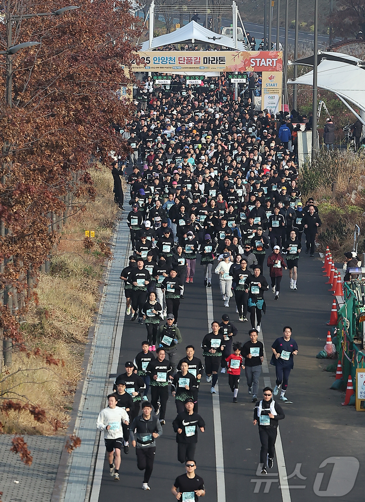(서울=뉴스1) 김진환 기자 = 30일 오전 서울 영등포구 문래동 영롱이억새구장에서 열린 2025 안양천 단풍길 마라톤에 참가한 마라토너들이 힘차게 출발하고 있다. 2025.11. …