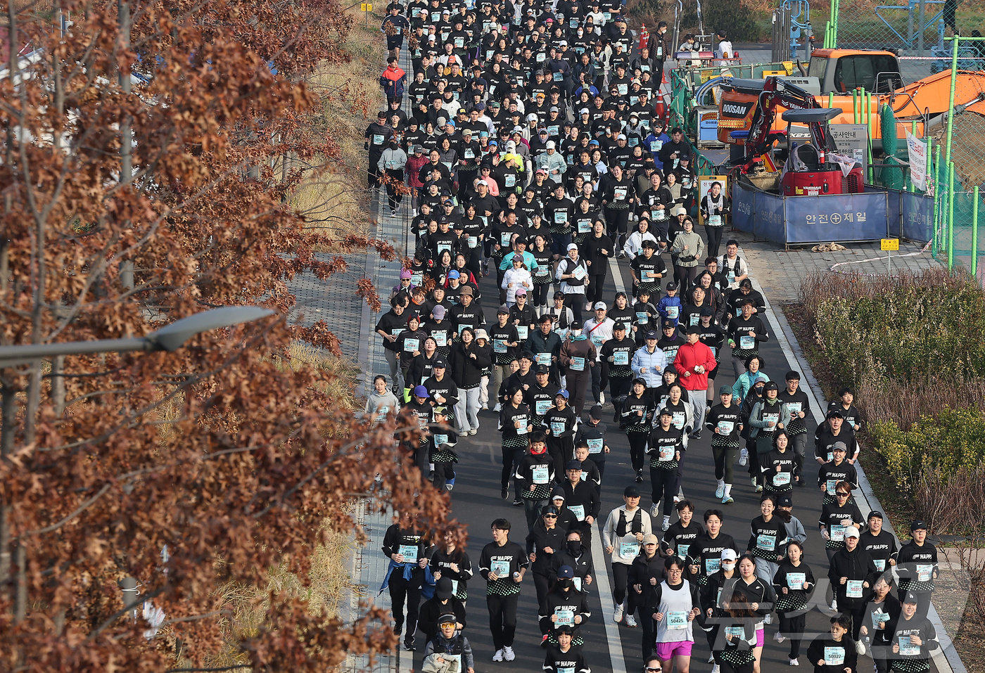 (서울=뉴스1) 김진환 기자 = 30일 오전 서울 영등포구 문래동 영롱이억새구장에서 열린 2025 안양천 단풍길 마라톤에 참가한 마라토너들이 힘차게 출발하고 있다. 2025.11. …