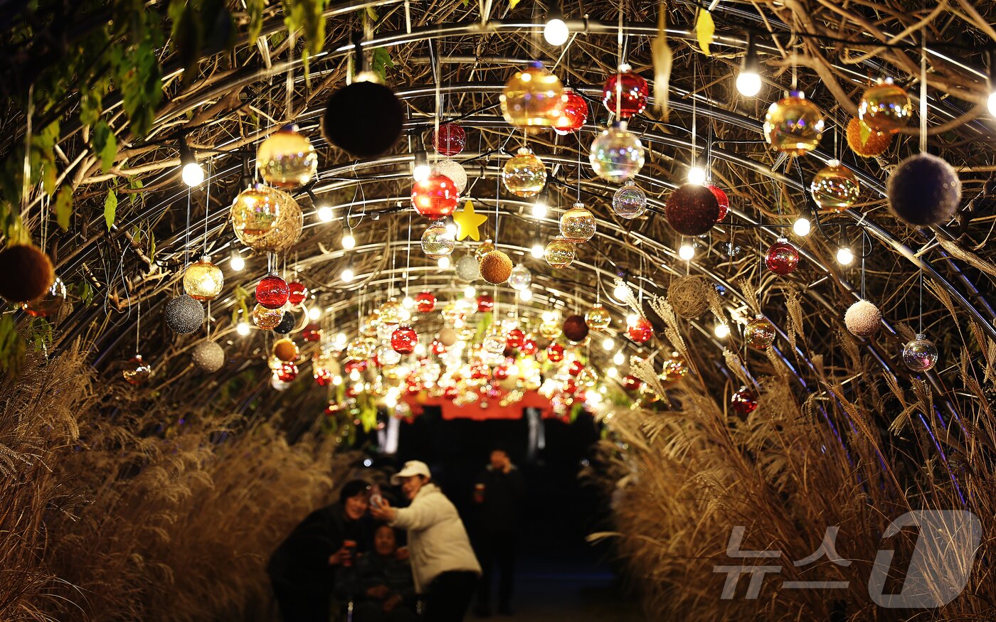 본문 이미지 - 지난 29일 전남 함평군에서 진행한 '2025 함평 겨울빛축제'를 찾은 관광객이 기념 사진을 찍고 있다.(함평군 제공. 재판매 및 DB금지) 2025.11.30/뉴스1 ⓒ News1 전원 기자