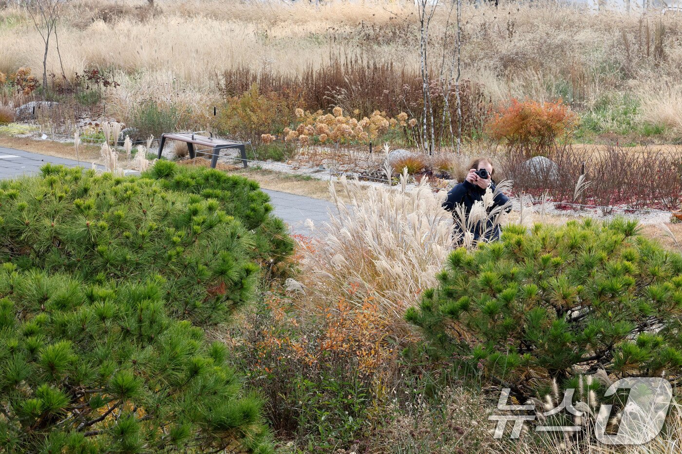 본문 이미지 - 포근한 늦가을 날씨를 보인 30일 오후 서울 종로구 열린송현 녹지광장을 찾은 외국인 관광객이 사진 촬영을 하고 있다. 2025.11.30/뉴스1 ⓒ News1 이광호 기자