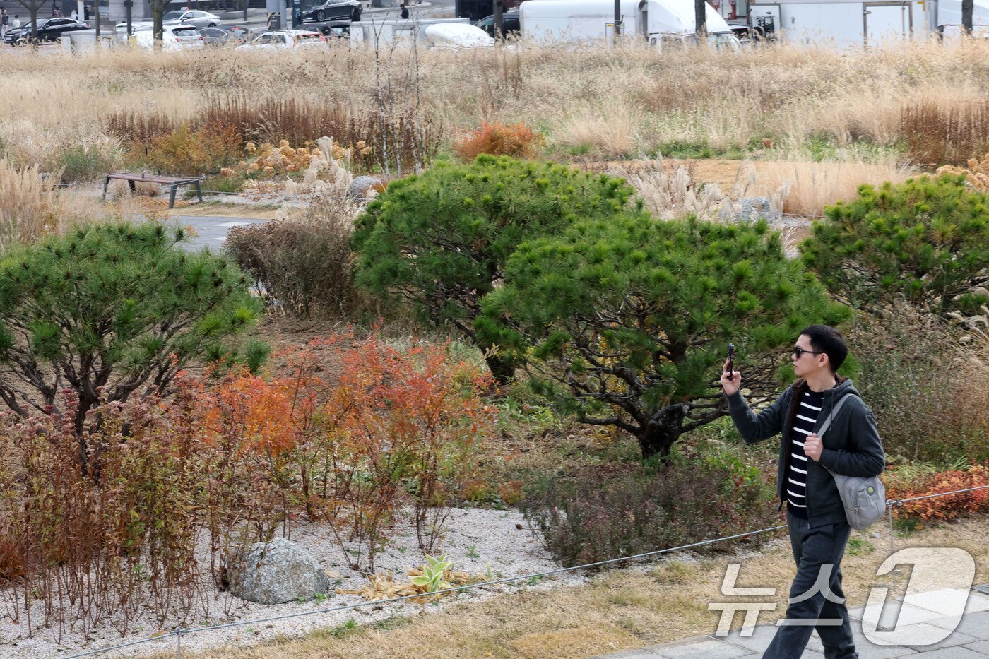 본문 이미지 - 포근한 늦가을 날씨를 보인 30일 오후 서울 종로구 열린송현 녹지광장을 찾은 관광객이 여유로운 시간을 보내고 있다. 2025.11.30/뉴스1 ⓒ News1 이광호 기자