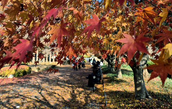 [오늘의 날씨] 울산(8일, 월)…매우 건조, 낮 최고 10도