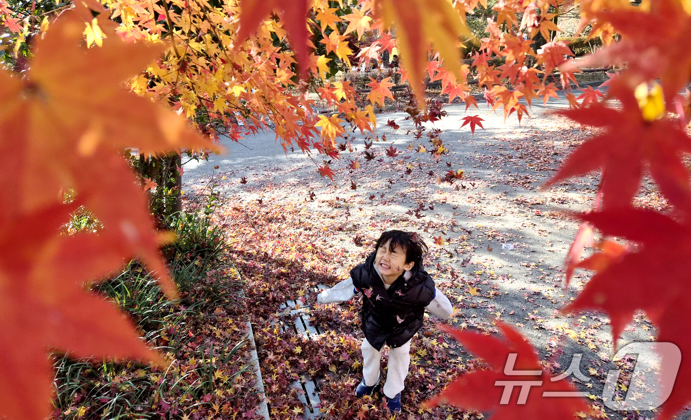 (전주=뉴스1) 유경석 기자 = 온화한 가을 날씨를 보인 30일 전북 전주시 전주동물원을 찾은 한 어린이가 낙엽을 던지며 즐거운 시간을 보내고 있다. 2025.11.30/뉴스1