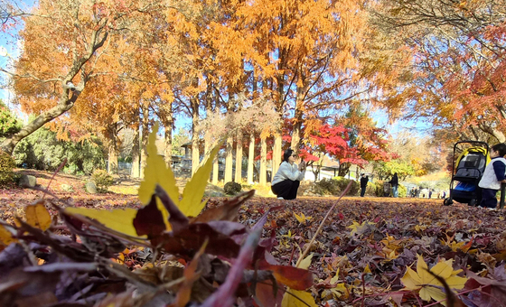 [오늘의 날씨] 전북(7일, 일)…낮 최고 12~15도, 미세먼지 '나쁨'