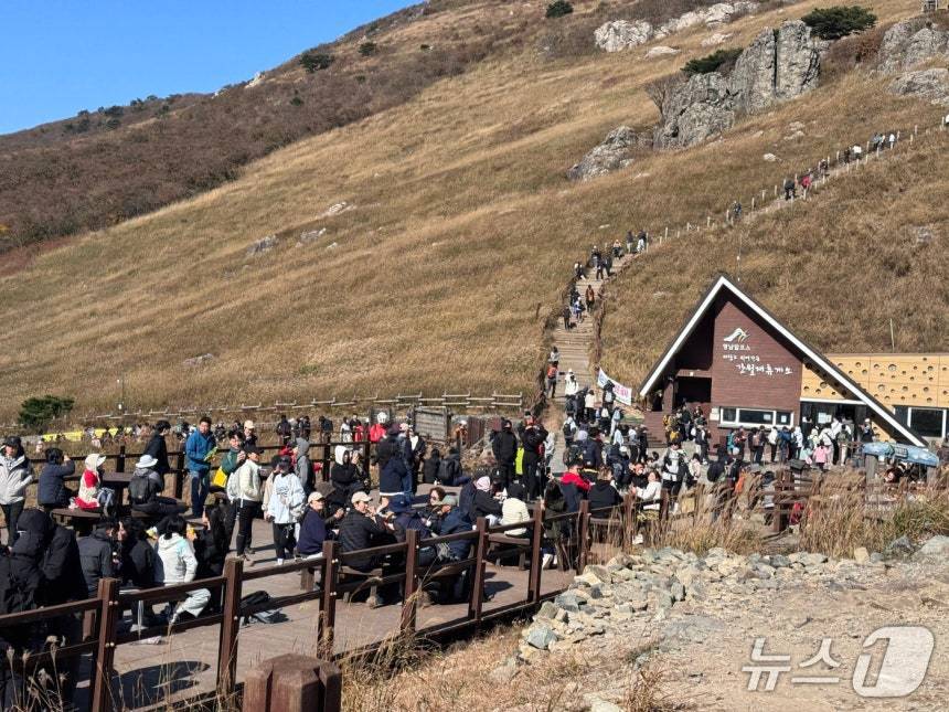 본문 이미지 - 울산 울주군 간월재 억새평원에 등산객들이 가을 정취를 만끽하고 있다.2025.11.30./뉴스1 ⓒ News1 김세은 기자