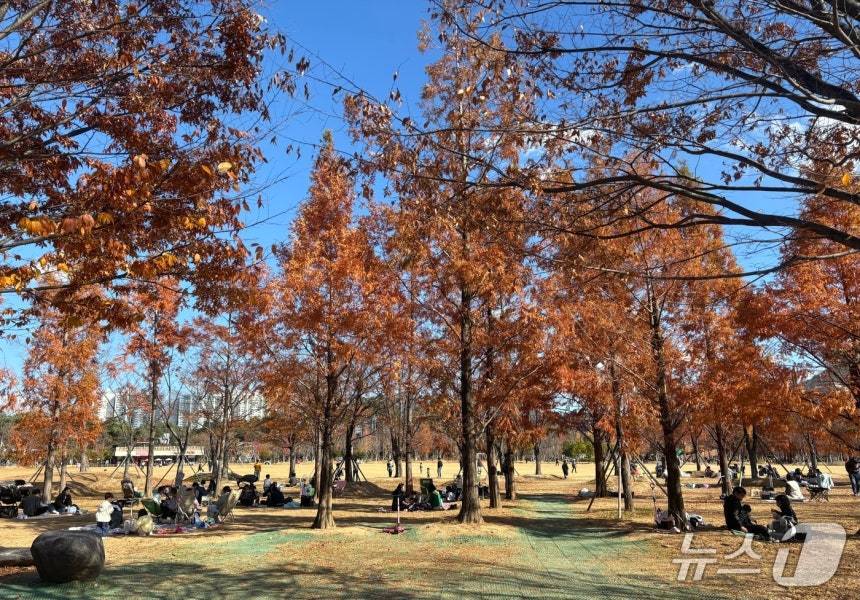 본문 이미지 - 30일 부산시민공원 잔디광장 모습. 막바지 가을 나들이를 즐기고자 하는 시민들의 발길이 이어졌다.2025.11.30/뉴스1 ⓒ News1 홍윤기자