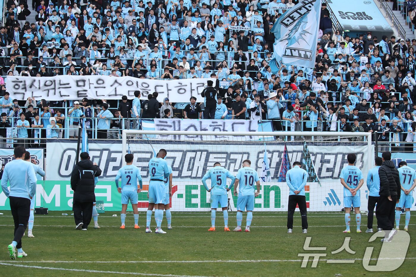 본문 이미지 - K리그1 최하위로 강등된 대구FC. /뉴스1 ⓒ News1 공정식 기자