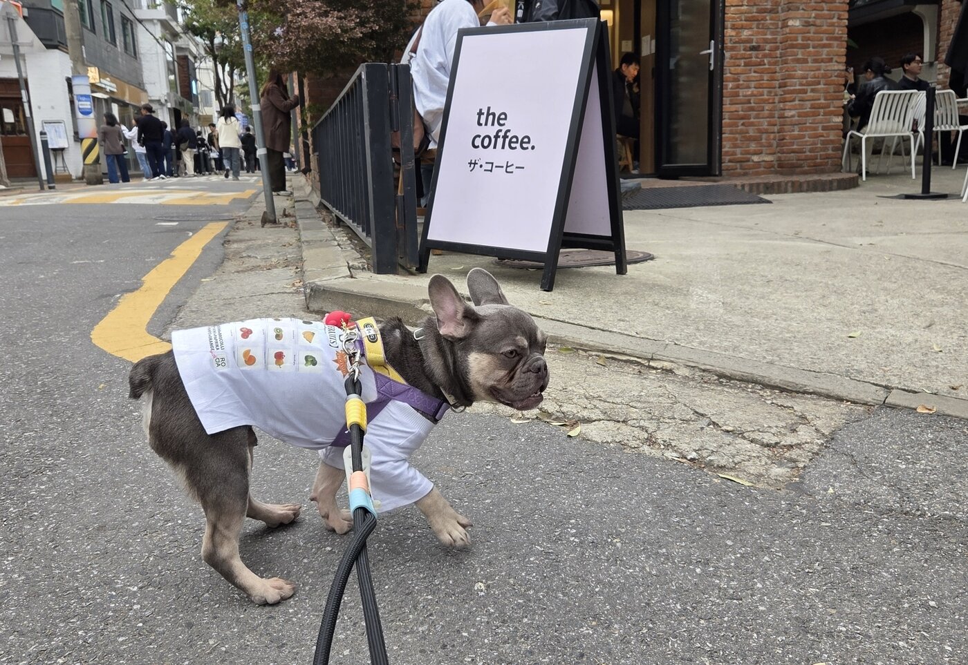 본문 이미지 - 씩씩하고 발랄한 루이 ⓒ 뉴스1 한송아 기자
