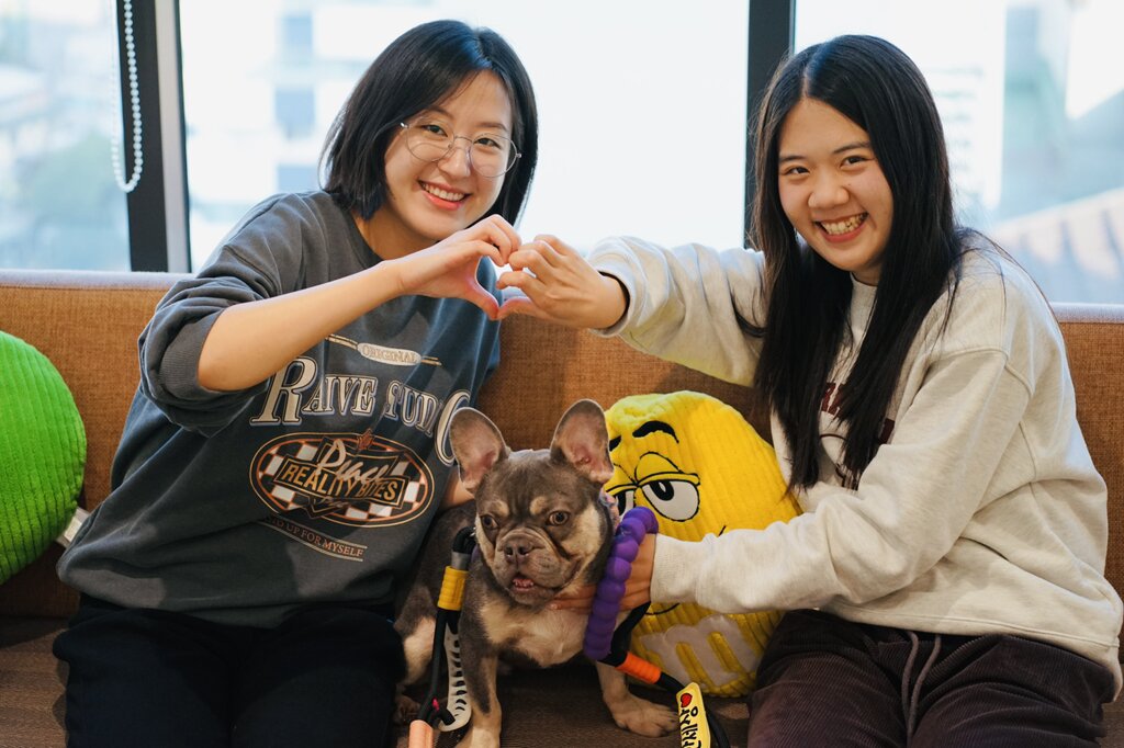 본문 이미지 - 한국마즈 직원들이 사무실에 방문한 루이와 사진을 찍으며 입양을 응원하고 있다(심용희 수의사 제공). ⓒ 뉴스1