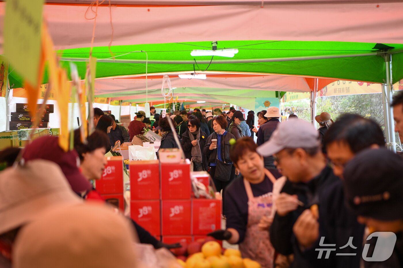 본문 이미지 - 2025 시래기사과축제.&#40;양구군 제공. 재판매 및 DB금지&#41;/뉴스1