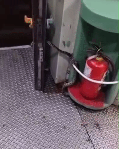 본문 이미지 - 3일(현지시간) 인도 남동부 안드라프라데시주의 비자야와다로 향하는 안다만 익스프레스 S-2 침대차 객실 안에서 나타난 비단뱀. (출처=인디아투데이)