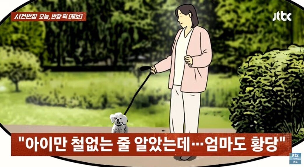 본문 이미지 - (JTBC '사건반장' 갈무리)