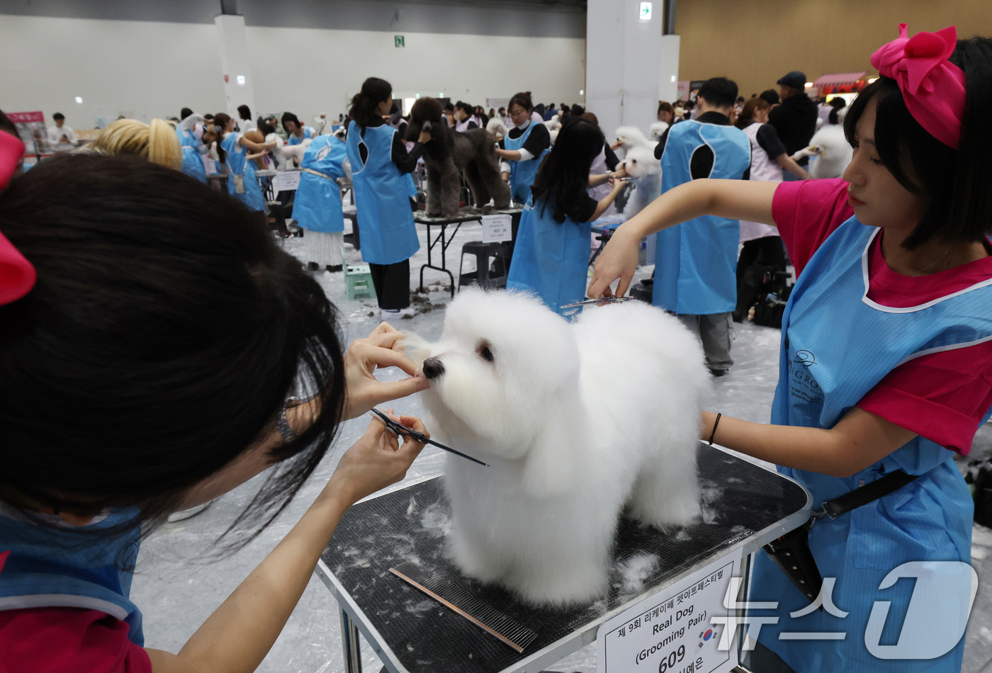 (수원=뉴스1) 김영운 기자 = 4일 경기 수원시 권선구 수원메쎄에서 열린 '제9회 리케이배 펫 아트 페스티벌'에서 반려동물 미용대회에 참가한 선수들이 기량을 뽐내고 있다. 202 …
