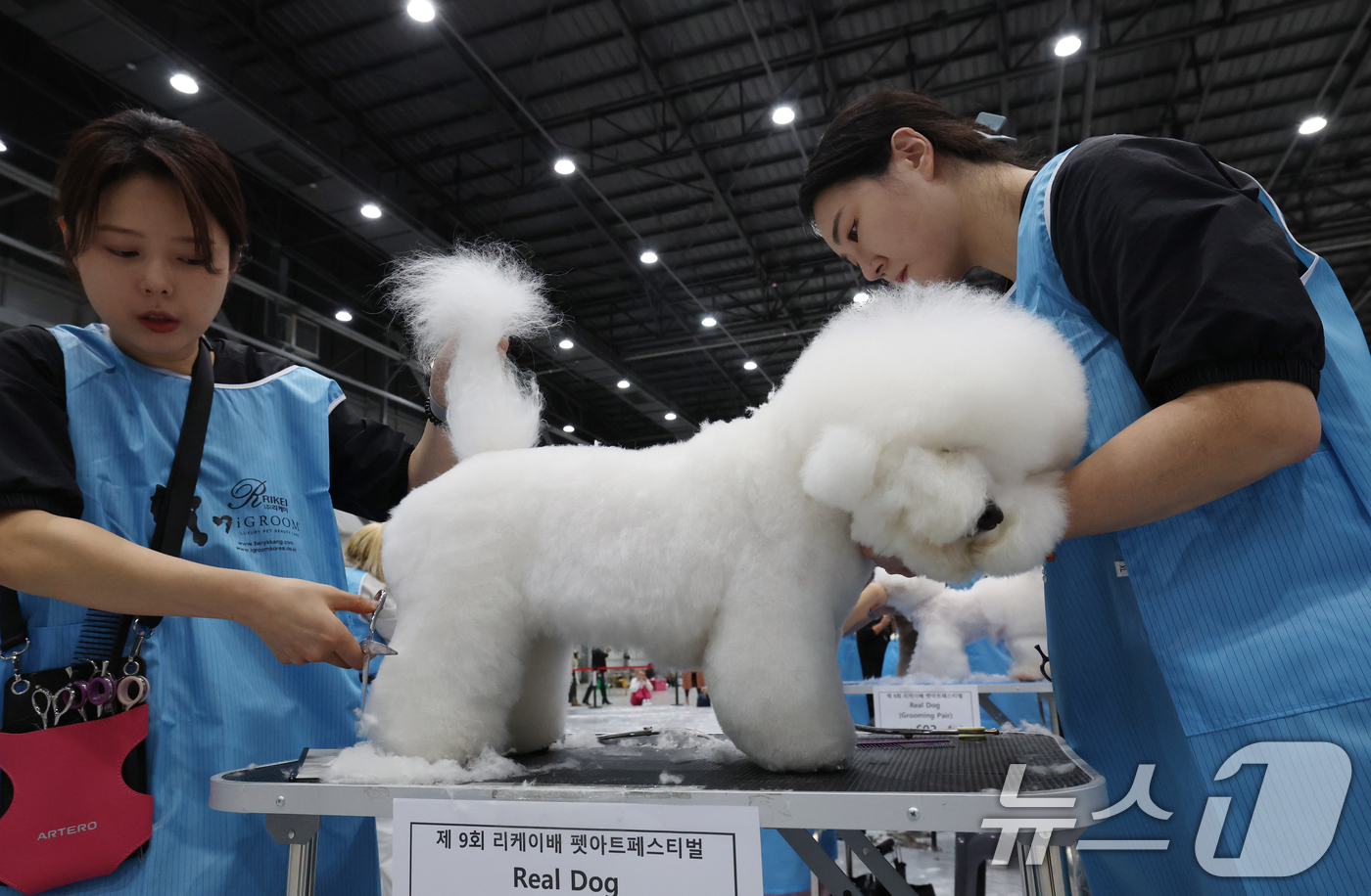 (수원=뉴스1) 김영운 기자 = 4일 경기 수원시 권선구 수원메쎄에서 열린 '제9회 리케이배 펫 아트 페스티벌'에서 반려동물 미용대회에 참가한 선수들이 기량을 뽐내고 있다. 202 …