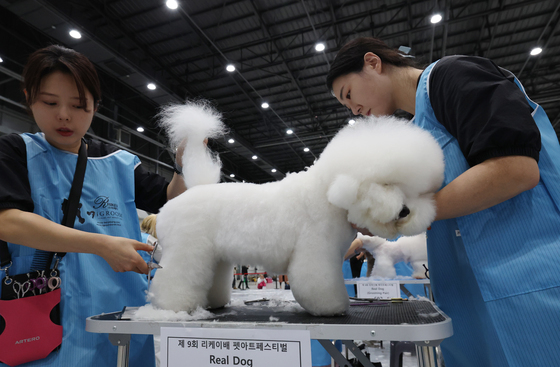 강아지는 꽃단장 중
