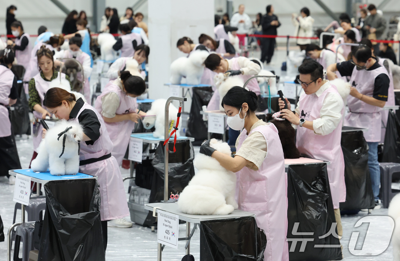 (수원=뉴스1) 김영운 기자 = 4일 경기 수원시 권선구 수원메쎄에서 열린 '제9회 리케이배 펫 아트 페스티벌'에서 반려동물 미용대회에 참가한 선수들이 기량을 뽐내고 있다. 202 …