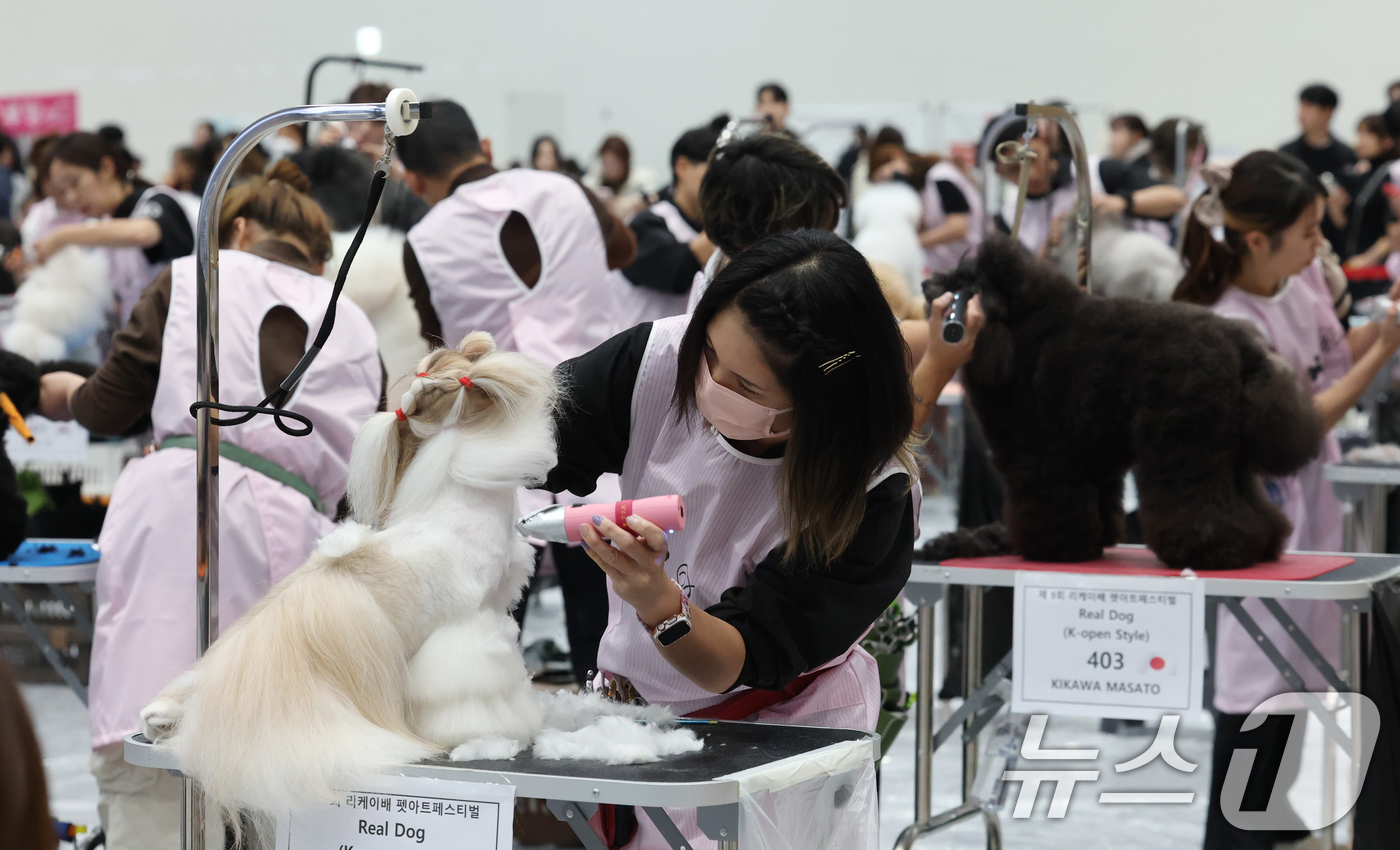 (수원=뉴스1) 김영운 기자 = 4일 경기 수원시 권선구 수원메쎄에서 열린 '제9회 리케이배 펫 아트 페스티벌'에서 반려동물 미용대회에 참가한 선수들이 기량을 뽐내고 있다. 202 …