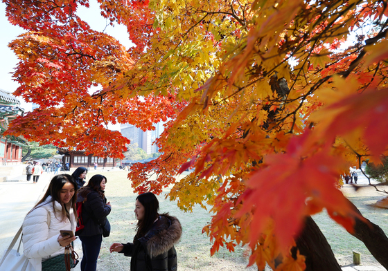 [오늘의 날씨] 전북(7일, 금)…가끔 구름 많고, 낮과 밤 기온차 커