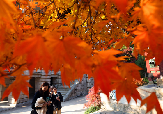 [오늘의 날씨] 충북·세종(7일, 금)…겨울 문턱 '입동'인데 포근