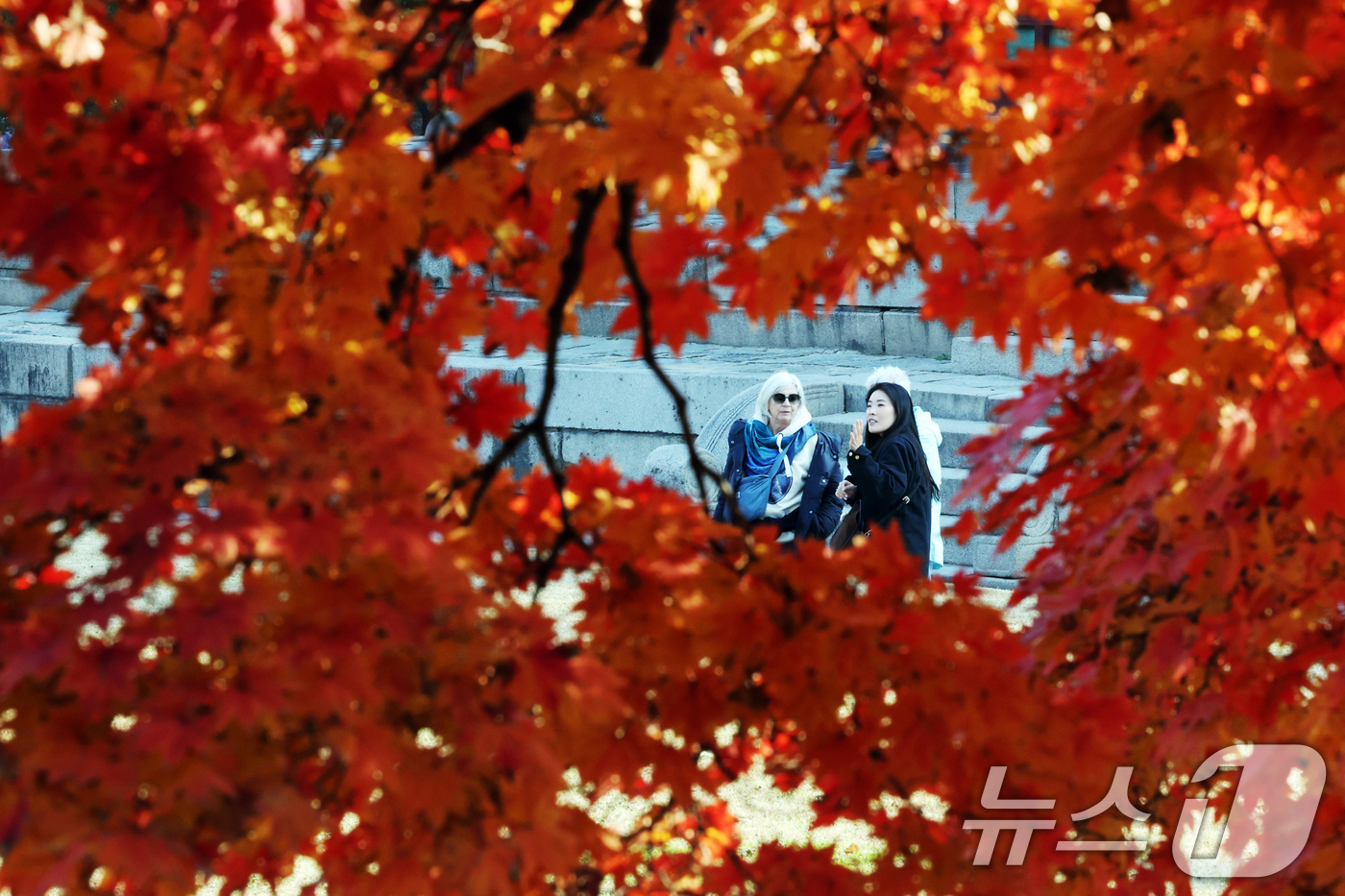 (서울=뉴스1) 황기선 기자 = 완연한 가을 날씨를 보인 4일 오후 서울 중구 덕수궁에서 외국인 관광객과 시민들이 단풍과 함께 즐거운 시간을 보내고 있다.  2025.11.4/뉴스 …