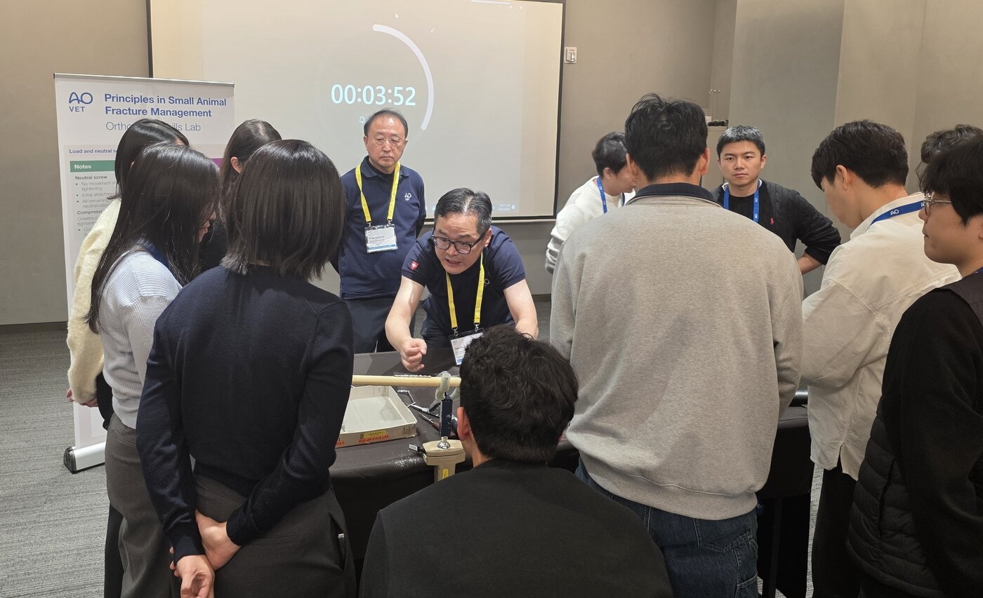 본문 이미지 - AO VET 코스 강사로 참여한 최갑철 로얄동물메디컬센터W 원장과 정인성 로얄동물메디컬센터 원장이 수강생들을 교육하고 있다(AO VET 제공). ⓒ 뉴스1