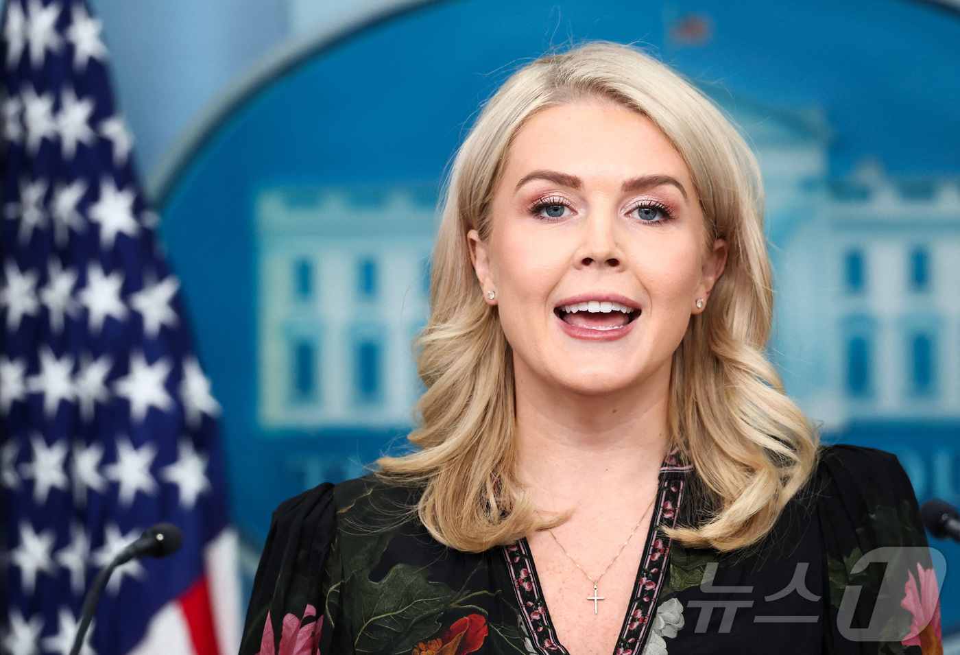 (워싱턴DC 로이터=뉴스1) 류정민 특파원 = 캐롤라인 레빗 백악관 대변인이 4일(현지시가) 워싱턴DC 백악관에서 정례 브리핑을 진행하고 있다. 2025.11.04.ⓒ 로이터=뉴스 …